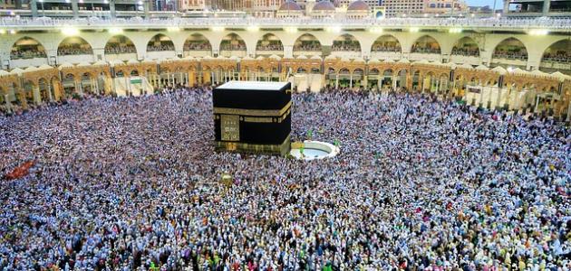 السعودية تحذر من التعامل مع مواقع مشبوهة تروّج للحج