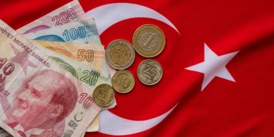 الليرة التركية تواصل التراجع بعد تصريحات أردوغان