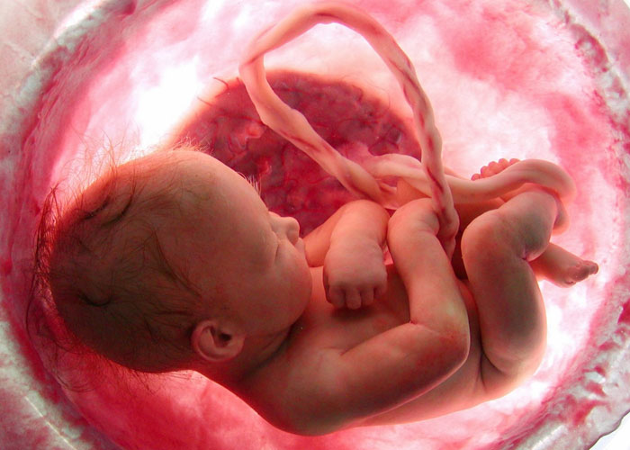 تجارب طبية تكشف هوية دواء يتسبب بارتفاع نسب تشوهات الأجنة