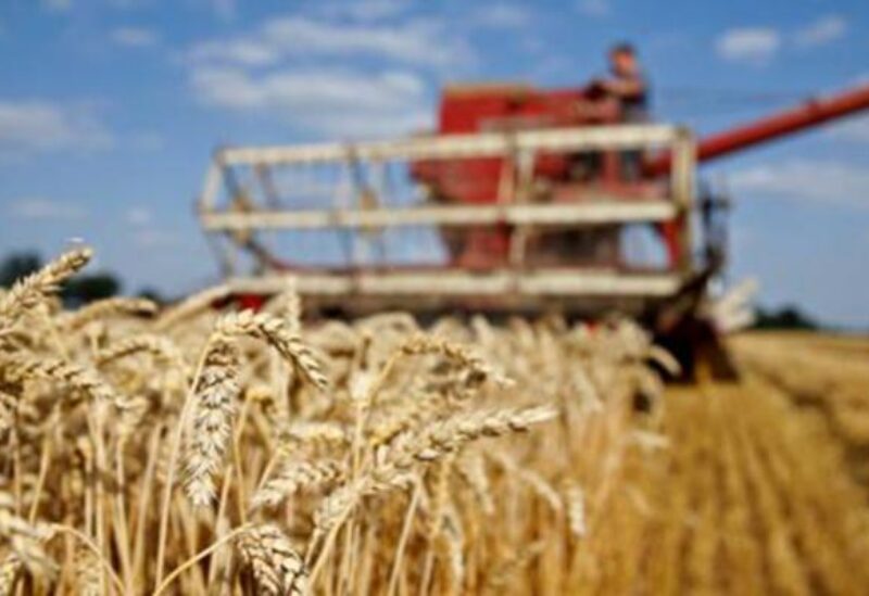 منتجون أوكرانيون: روسيا سرقت 600 ألف طن من الحبوب