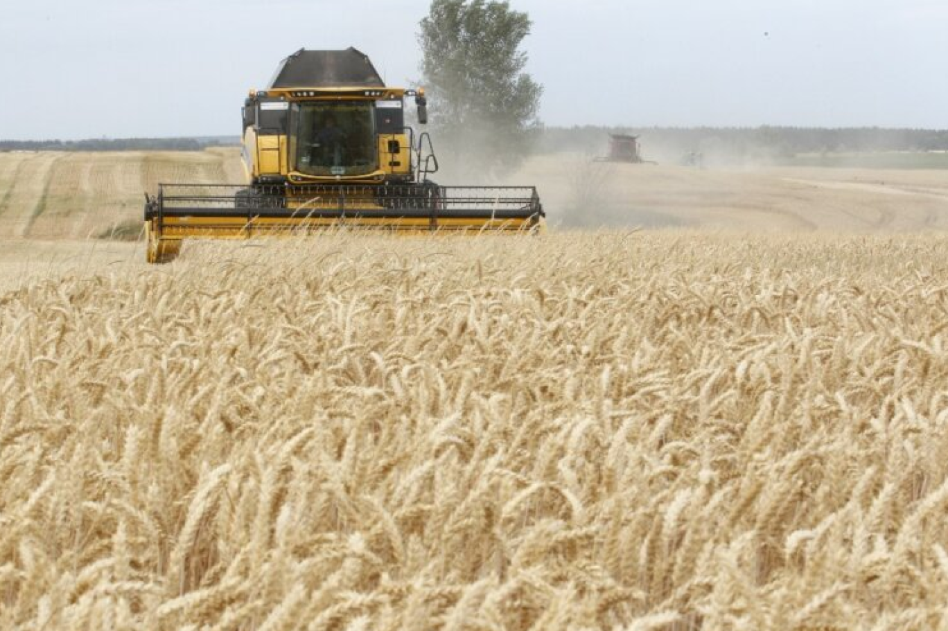 زيلينسكي: مستعدون لتصدير الحبوب: مستعدون لتصدير الحبوب