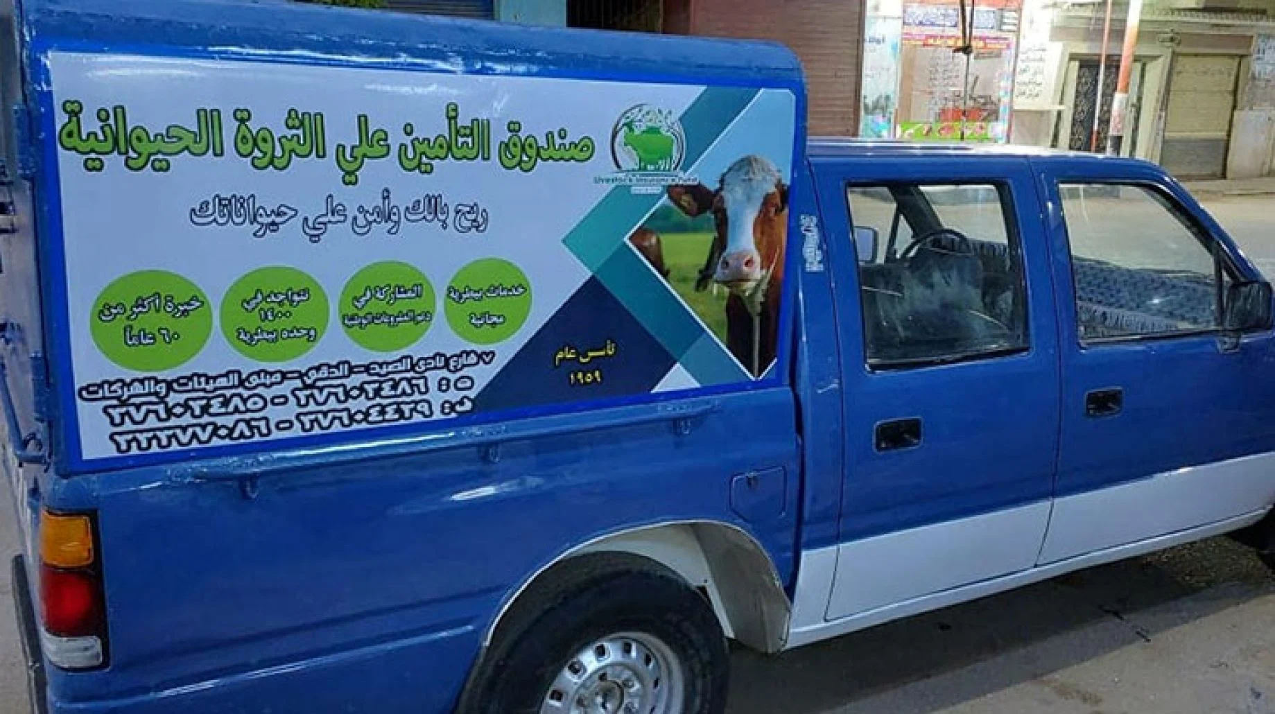 التأمين على الماشية.. خطة مصر لحماية أصحاب الثروة الحيوانية