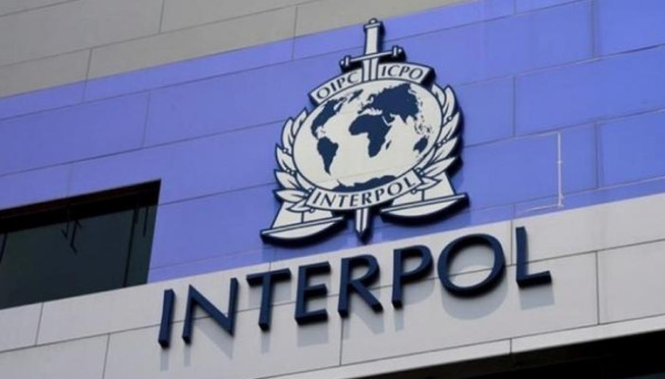 الإنتربول: الجرائم المالية والسيبرانية تثير قلق الشرطة في معظم دول العالم